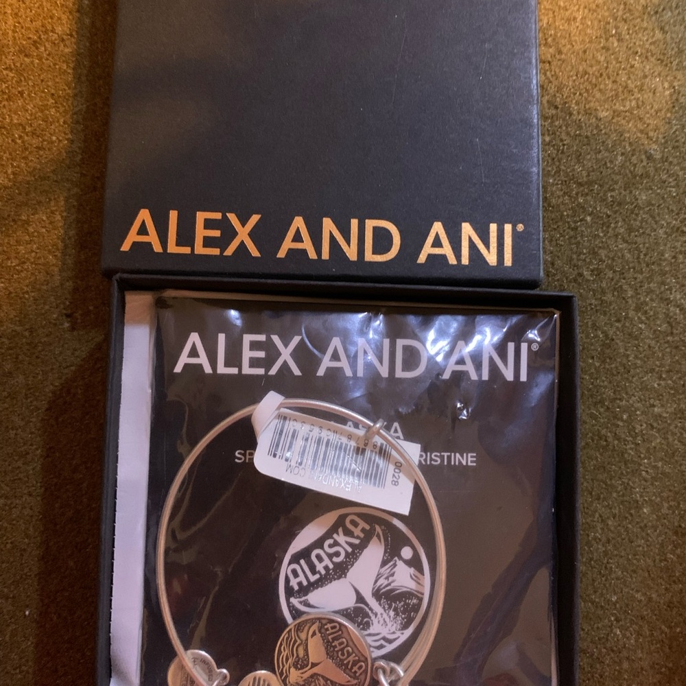 Alex and Ani Silver Alaska Whale Charm Bracelet - Picture 4 of 4
